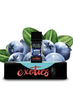 PLUG EXOTICS: Berry Gang