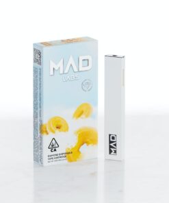 Glazed Donut madlabs disposable