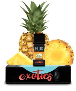 PLUG EXOTICS: Piña Cooler