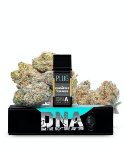 PLUG DNA: Pineapple Express