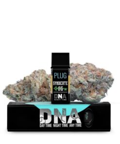 PLUG DNA: Syndicate OG