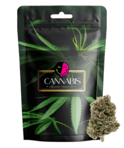 OG Kush Strain Fryd