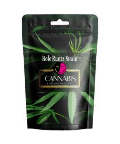 BOLO RUNTZ STRAIN