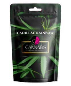 CADILLAC RAINBOW STRAIN
